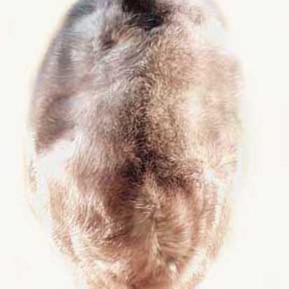 MINK HAT, TAG ON, LADIES MEDIUM, LIGHT GREY, NO BRIM, SATIN LINING INSULATED - Picture 2 of 3